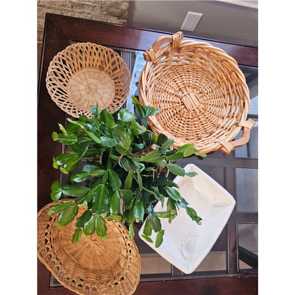 Five-Piece Collection of Wicker Baskets ( Ceramic Planter Not Included )