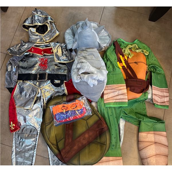 Costume Outfits Including Knight, Triceratops, and Ninja Turtle