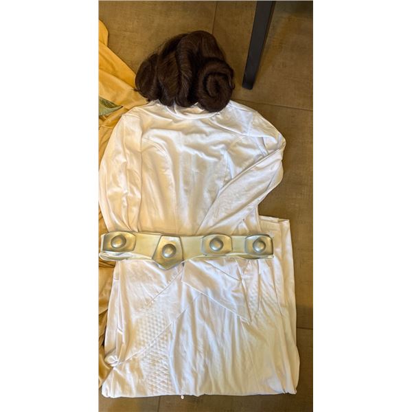 Cosplay Costumes Including Princess Leia, Yoda, and Stormtrooper