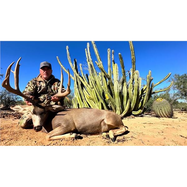 6-Day Sonoran Desert Mule Deer Hunt for 1 Hunter