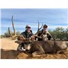 Image 3 : 6-Day Sonoran Desert Mule Deer Hunt for 1 Hunter