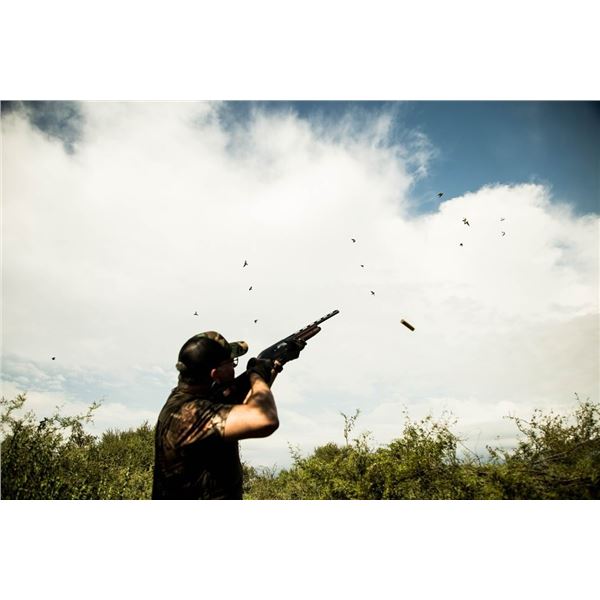 4-Day Argentina Dove and Pigeon Hunt for 6 Hunters