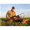 Image 1 : 6-Roe Deer in Serbia for 2 Hunters