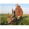 Image 2 : 6-Roe Deer in Serbia for 2 Hunters