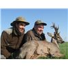 Image 3 : 6-Roe Deer in Serbia for 2 Hunters