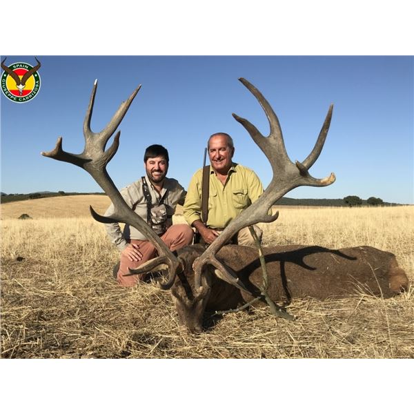 3-Day Spain Iberian Red Deer for 1 Hunter