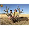 Image 1 : 3-Day Spain Iberian Red Deer for 1 Hunter