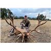 Image 2 : 3-Day Spain Iberian Red Deer for 1 Hunter