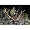 Image 3 : 3-Day Spain Iberian Red Deer for 1 Hunter