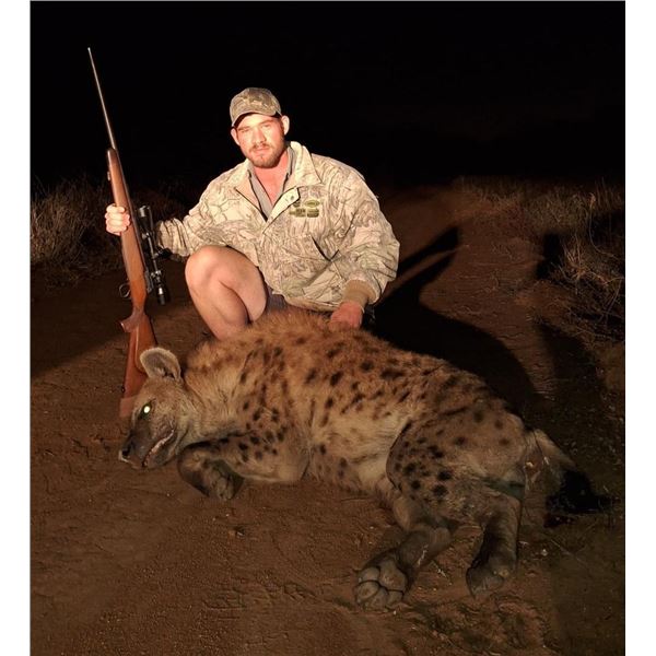 7-Night Hyena Hunt in Zimbabwe for 1 Hunter