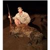Image 1 : 7-Night Hyena Hunt in Zimbabwe for 1 Hunter