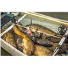 Image 2 : 3-Day North Dakota Bow Fishing for 2 Anglers