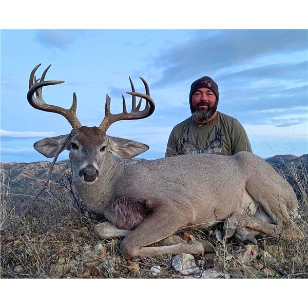 5-Day Mexico Coues Deer Hunt for 1 Hunter
