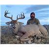 Image 1 : 5-Day Mexico Coues Deer Hunt for 1 Hunter