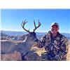 Image 3 : 5-Day Mexico Coues Deer Hunt for 1 Hunter