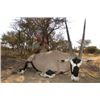 Image 2 : 7-Day Northern Cape South Africa Hunt for 4 Hunters