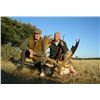 Image 3 : Spain Trophy Hunt – Fallow Deer, Mouflon, Roe Deer or Red Stag