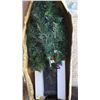 Image 2 : Pre-lit 2-Pack Entranceway Trees with Decoration Base