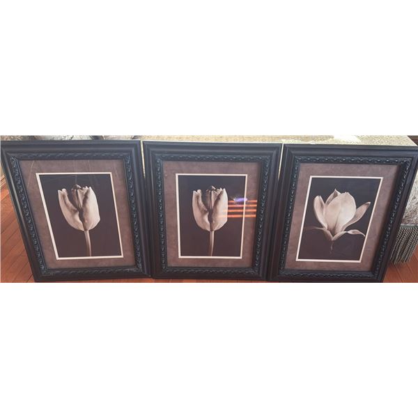 Three Framed Floral Photographic Prints with Ornate Black Frames