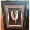 Image 2 : Three Framed Floral Photographic Prints with Ornate Black Frames