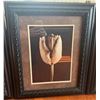 Image 3 : Three Framed Floral Photographic Prints with Ornate Black Frames