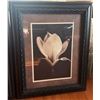 Image 4 : Three Framed Floral Photographic Prints with Ornate Black Frames