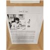 Image 8 : Limited Edition Lena Liu Ivy and Honeysuckle 2424/3300 with Certificate