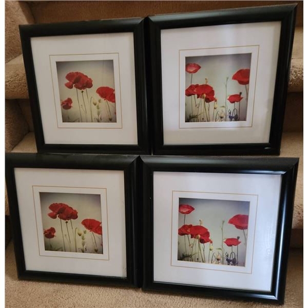 Four Framed Floral Prints Under Glass With Red Poppy Motif