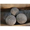 Image 7 : Metal Tray, Decorative Wood Balls, and Framed Print Under Glass