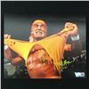 Image 1 : HULK HOGAN SIGNED 8X10 - ACE COA
