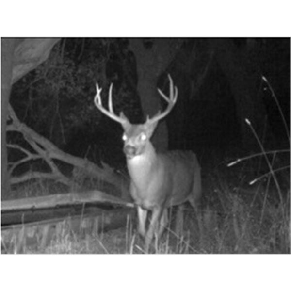 Hunt Prime Private Blacktail Land at HREC 3 Days