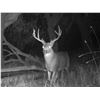 Image 1 : Hunt Prime Private Blacktail Land at HREC 3 Days