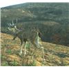 Image 2 : Hunt Prime Private Blacktail Land at HREC 3 Days