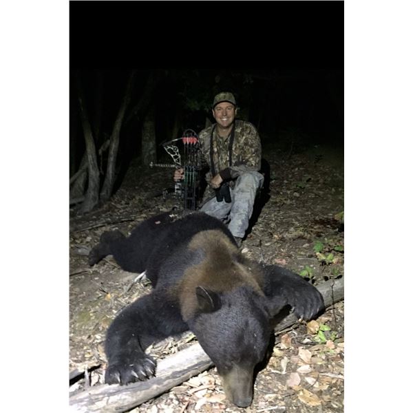 California Coastal (Pacific) Black Bear Hunt 3 Days 1 Hunter