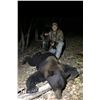 Image 1 : California Coastal (Pacific) Black Bear Hunt 3 Days 1 Hunter