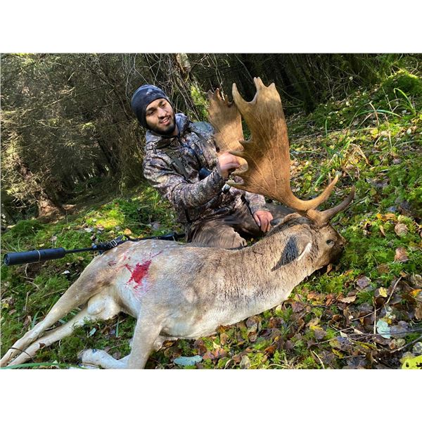 Ireland Hunt for Hunter and Observer Five Days 1 Hunter 1 Observer