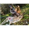 Image 1 : Ireland Hunt for Hunter and Observer Five Days 1 Hunter 1 Observer