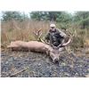 Image 2 : Ireland Hunt for Hunter and Observer Five Days 1 Hunter 1 Observer