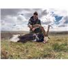Image 5 : Ireland Hunt for Hunter and Observer Five Days 1 Hunter 1 Observer