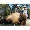 Image 3 : Texas Bison Hunt 1 Day 1 Night 1 Hunter