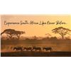 Image 1 : South Africa 2 Hunters, 6 Days and Nights, Four Trophy Fees Included