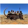 Image 2 : South Africa 2 Hunters, 6 Days and Nights, Four Trophy Fees Included