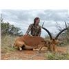 Image 5 : South Africa 2 Hunters, 6 Days and Nights, Four Trophy Fees Included