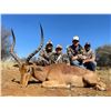 Image 6 : South Africa 2 Hunters, 6 Days and Nights, Four Trophy Fees Included