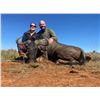 Image 7 : South Africa 2 Hunters, 6 Days and Nights, Four Trophy Fees Included