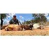 Image 8 : South Africa 2 Hunters, 6 Days and Nights, Four Trophy Fees Included
