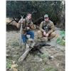 Image 3 : Fully Guided 2-Day Wild Hog Hunt in Tulare County, California