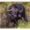 Image 3 : Photo Safari Big Five For 2 Upgradeable for Whole Family!