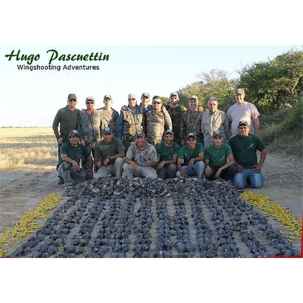 Argentinian Dove & Pigeon Hunt, 4 Hunting Days, 3 Hunters