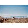 Image 7 : Wild West Family Adventure, 3 Nights for 4